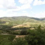 Antinori nel Chianti
