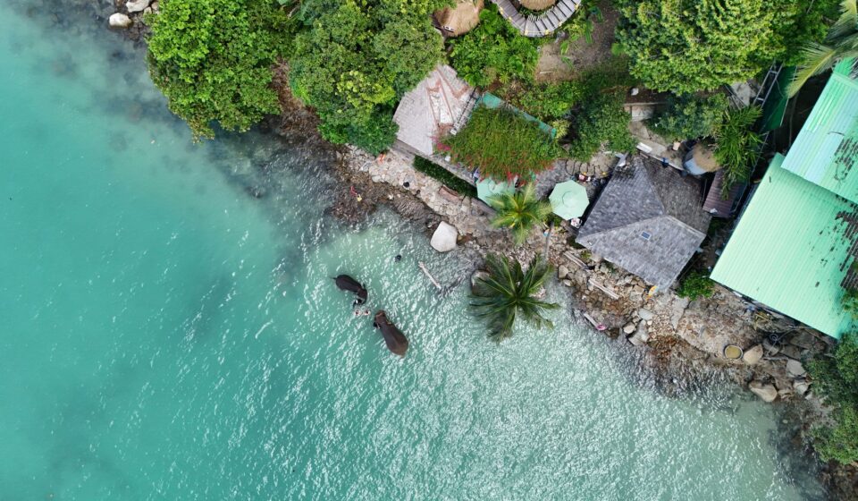 Blue Elephant Phuket img 0