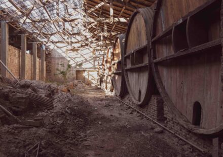 Bodega Garzon