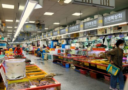 Busan Food Food Guide