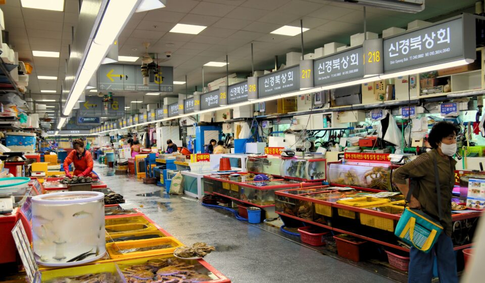 Busan Food Food Guide