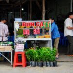 Cha Ca La Vong