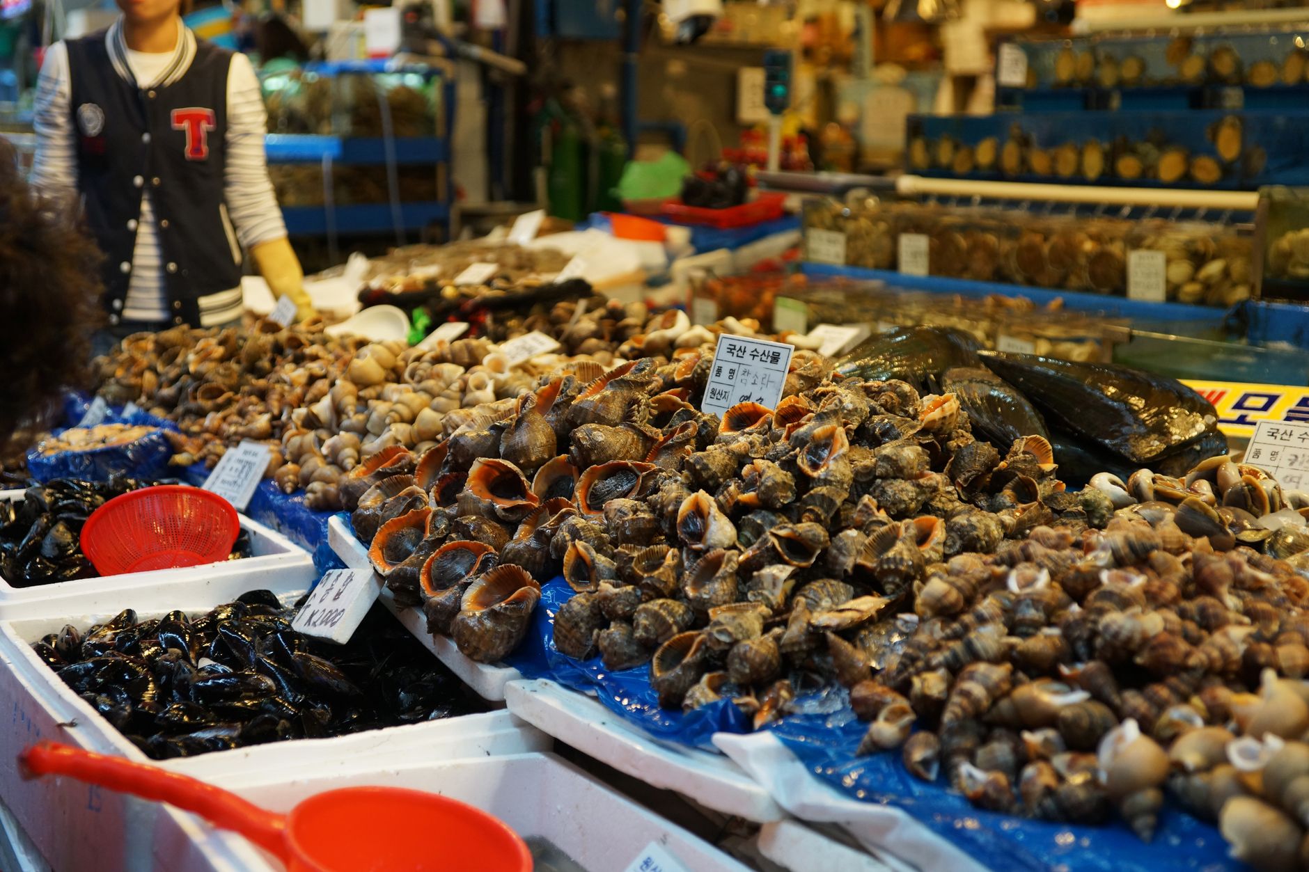 Jagalchi Market Korean Seafood Busan South Korea