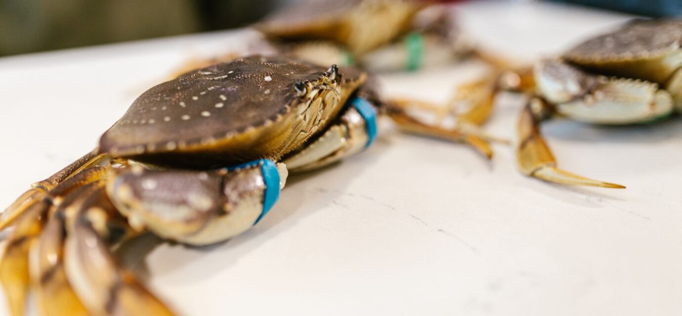 Joes Stone Crab