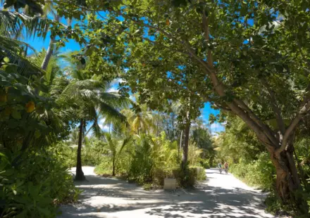 Soneva Fushi