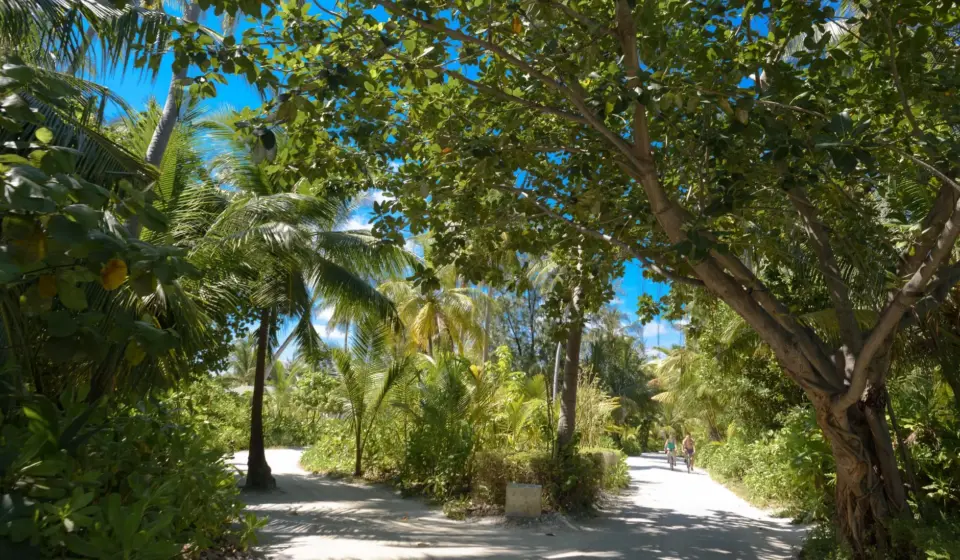 Soneva Fushi