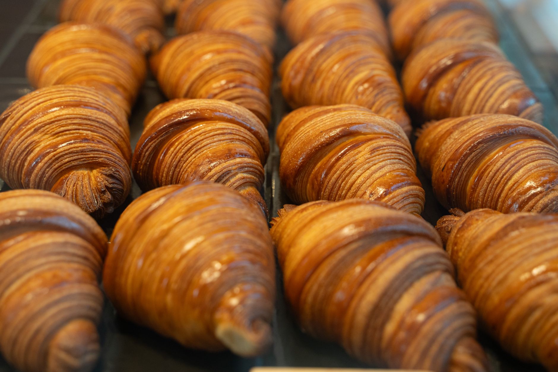 Tartine Bakery SF Bakery San Francisco USA