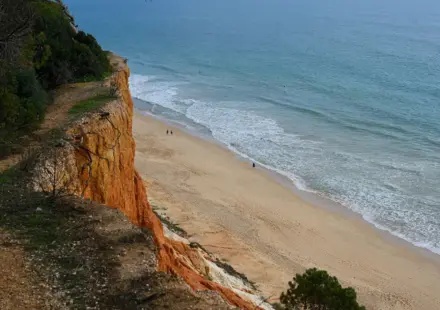 Vila Joya