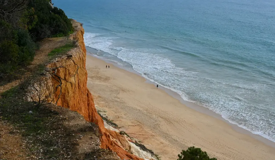 Vila Joya