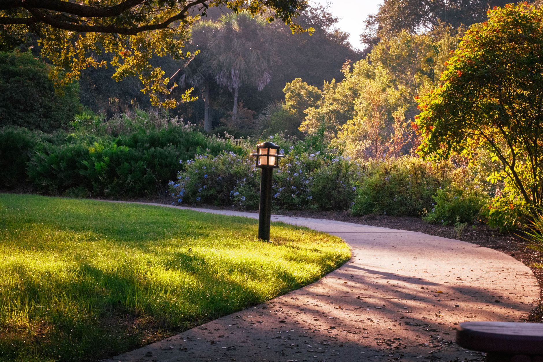 Village Park interior