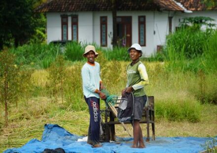 Nasi Bekepor