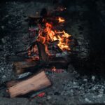 Botin