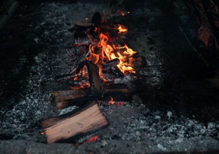 Botin