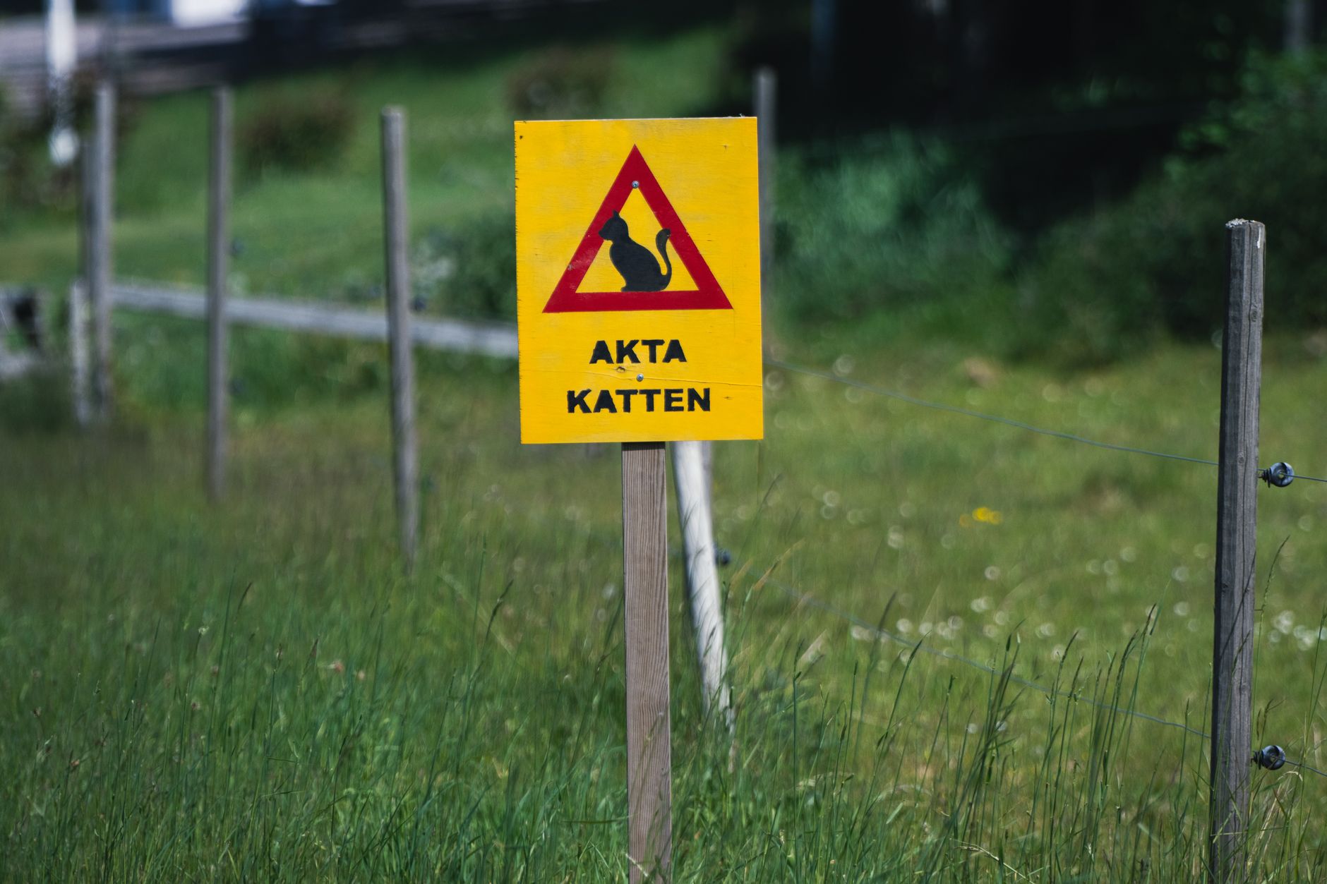 Vete-Katten dish